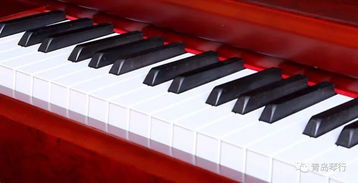 全球最大乐器展,世界两大著名品牌卡瓦依 英昌钢琴推出新款,预售开始